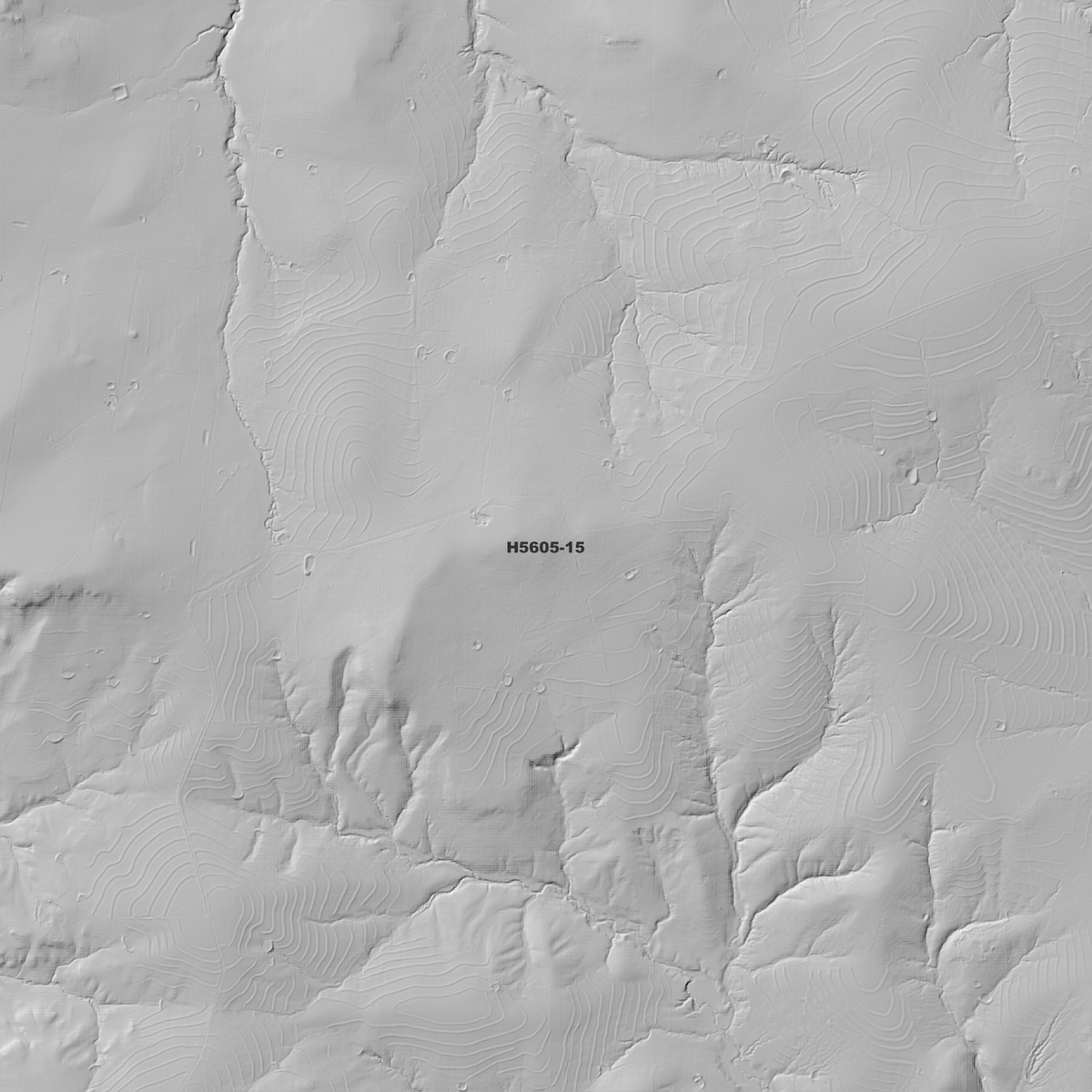 Warialda 2m Digital Elevation Models (H5605-15)