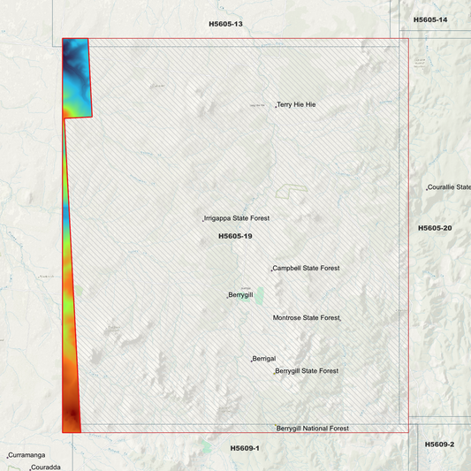 Berrygill 1m Digital Elevation Model (H5605-19)