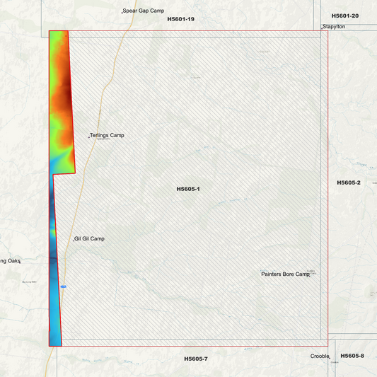 Terlings Camp 1m Digital Elevation Model (H5605-1)