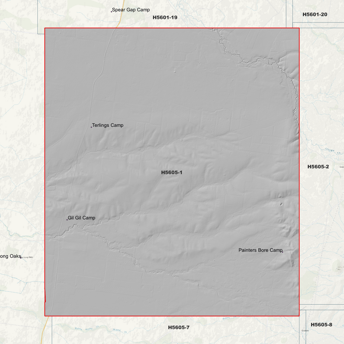 Terlings Camp 1m & 5m Digital Elevation Models (H5605-1)