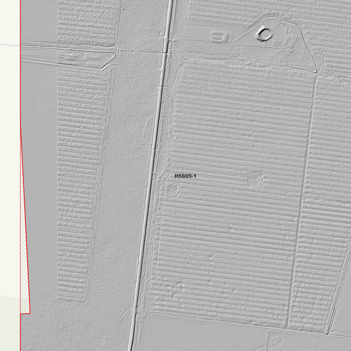 Terlings Camp 1m & 5m Digital Elevation Models (H5605-1)