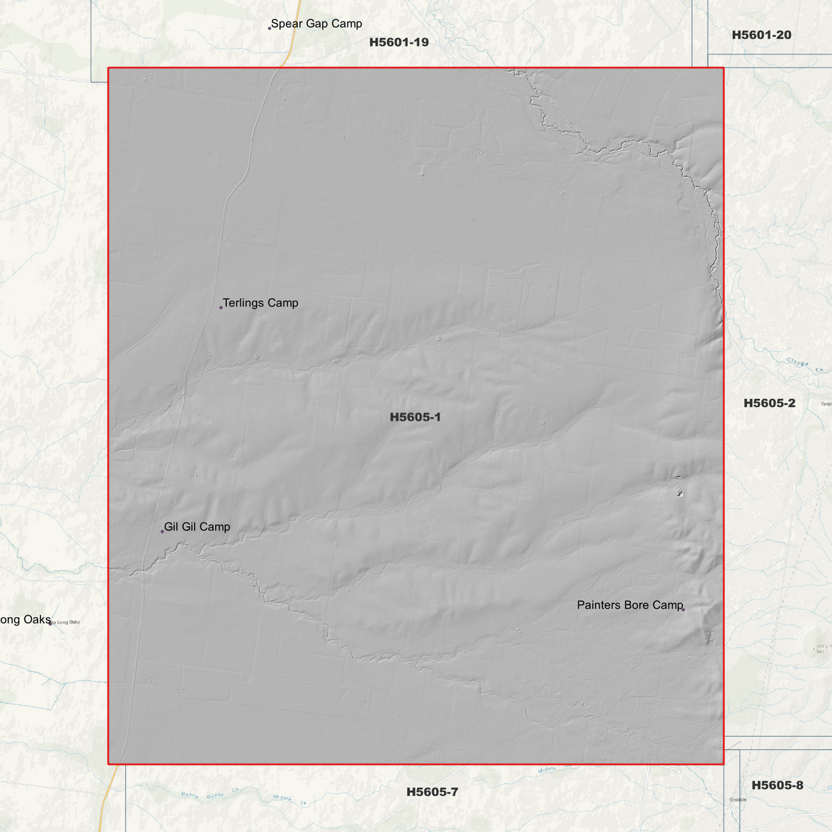 Terlings Camp 1m & 5m Digital Elevation Models (H5605-1)