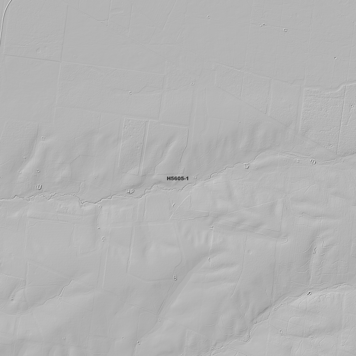 Terlings Camp 1m & 5m Digital Elevation Models (H5605-1)