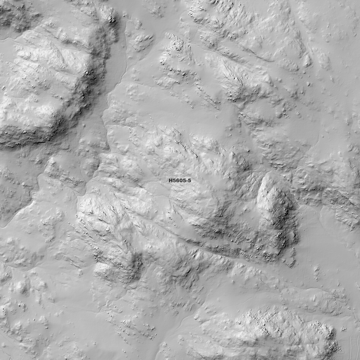 Severn 50cm, 1m & 5m Digital Elevation Models (H5605-5)
