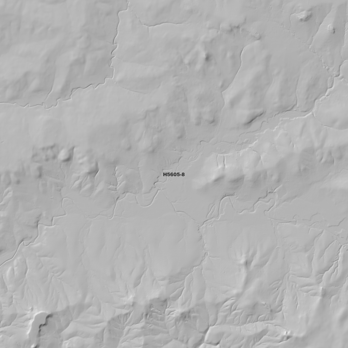 Bullala 1m, 2m & 5m Digital Elevation Models (H5605-8)