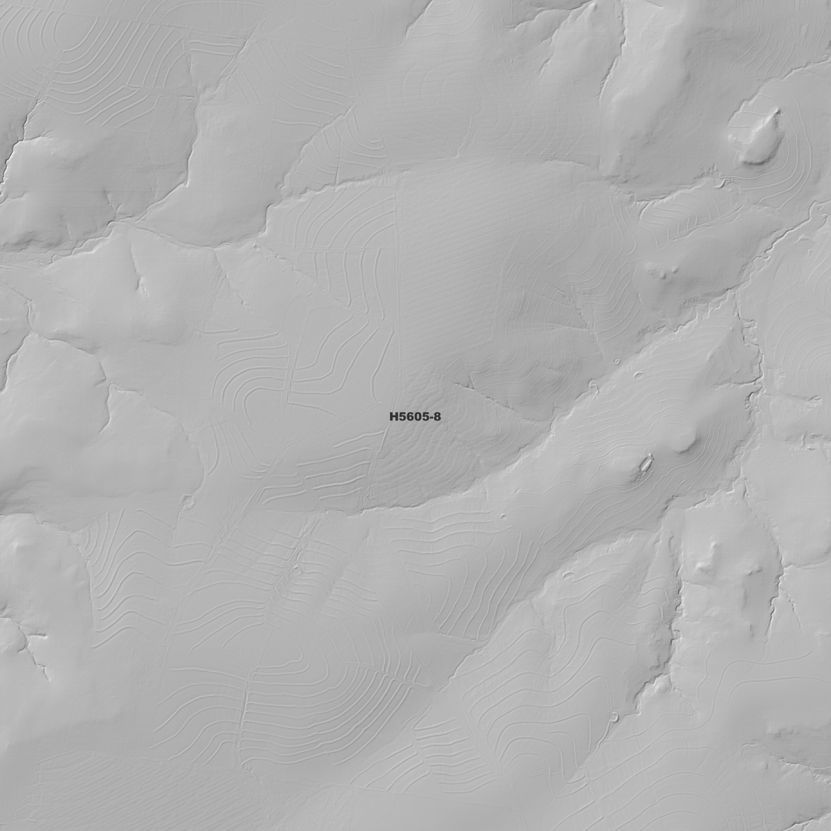 Bullala 1m, 2m & 5m Digital Elevation Models (H5605-8)