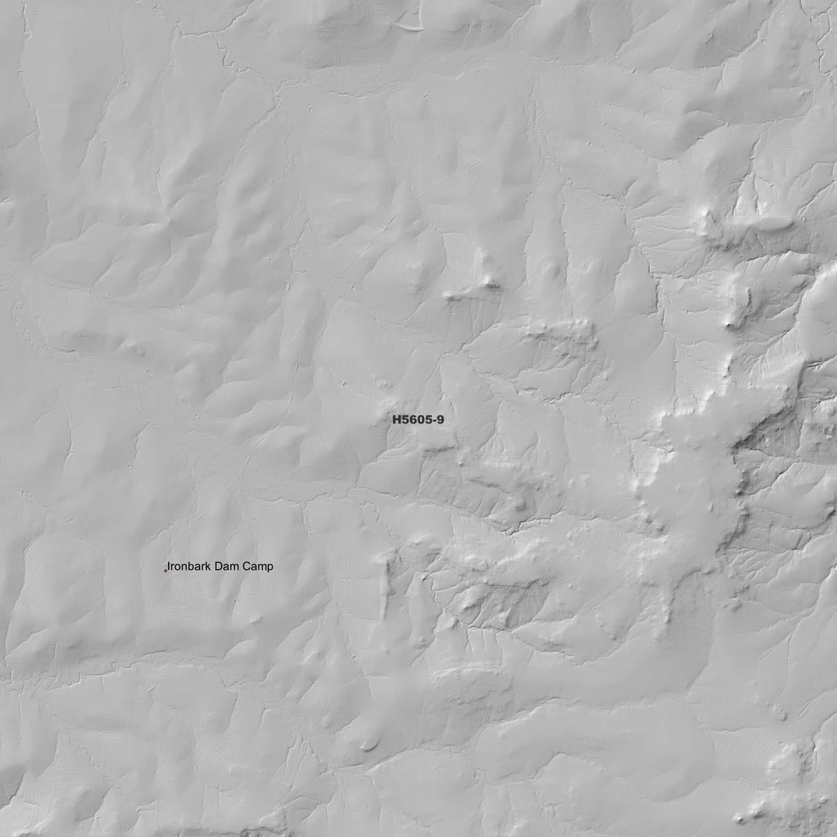 Gunyerwarildi 1m, 2m & 5m Digital Elevation Models (H5605-9)