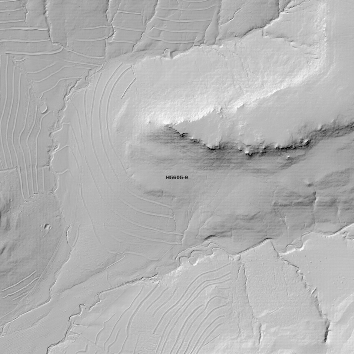 Gunyerwarildi 1m, 2m & 5m Digital Elevation Models (H5605-9)