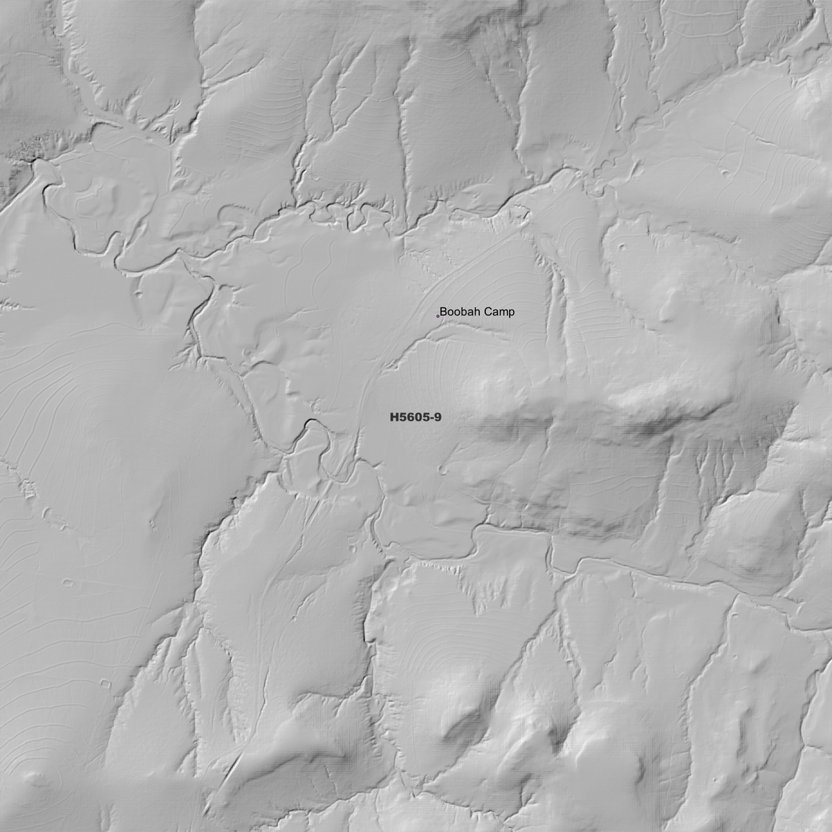 Gunyerwarildi 1m, 2m & 5m Digital Elevation Models (H5605-9)