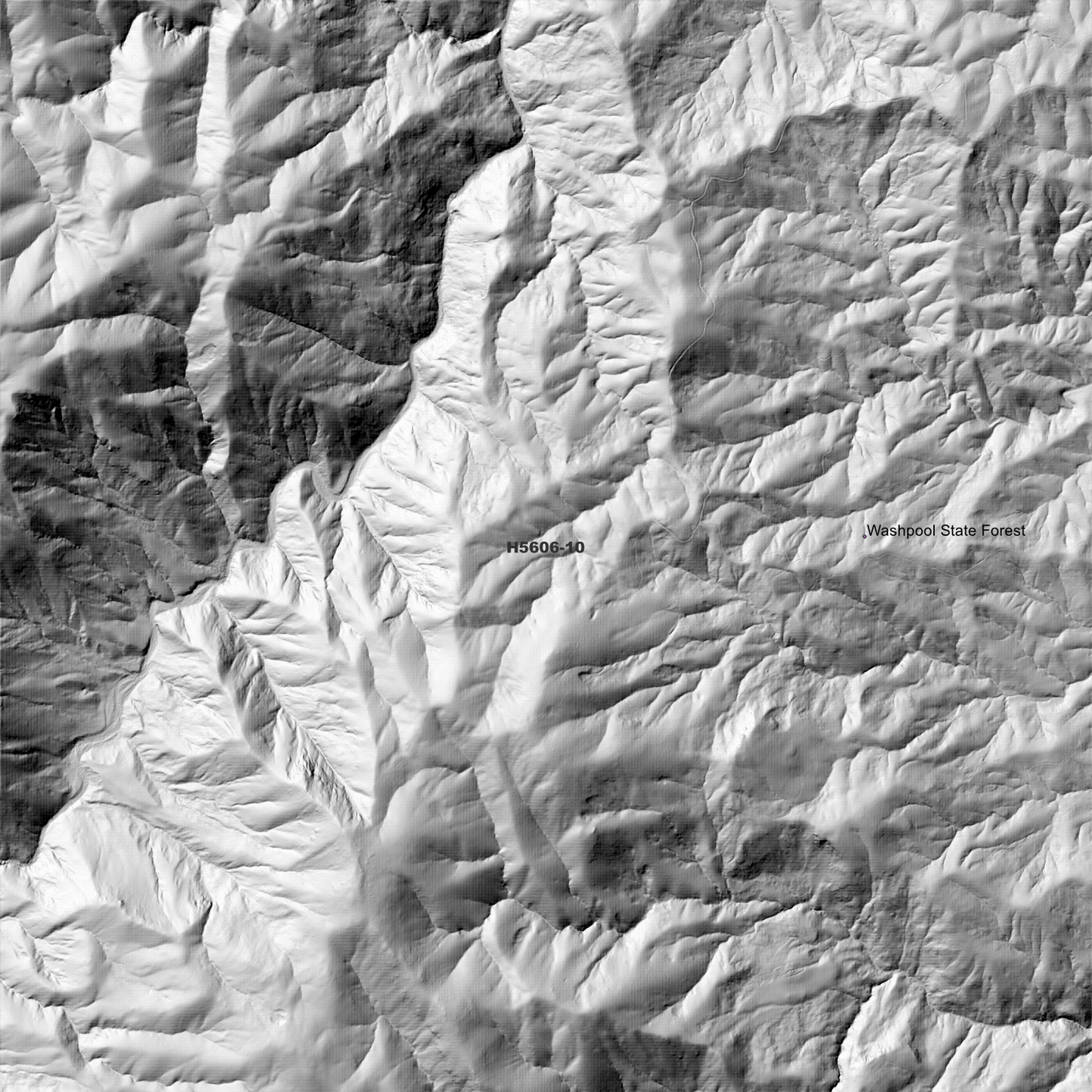 Washpool 1m Digital Elevation Model (H5606-10)