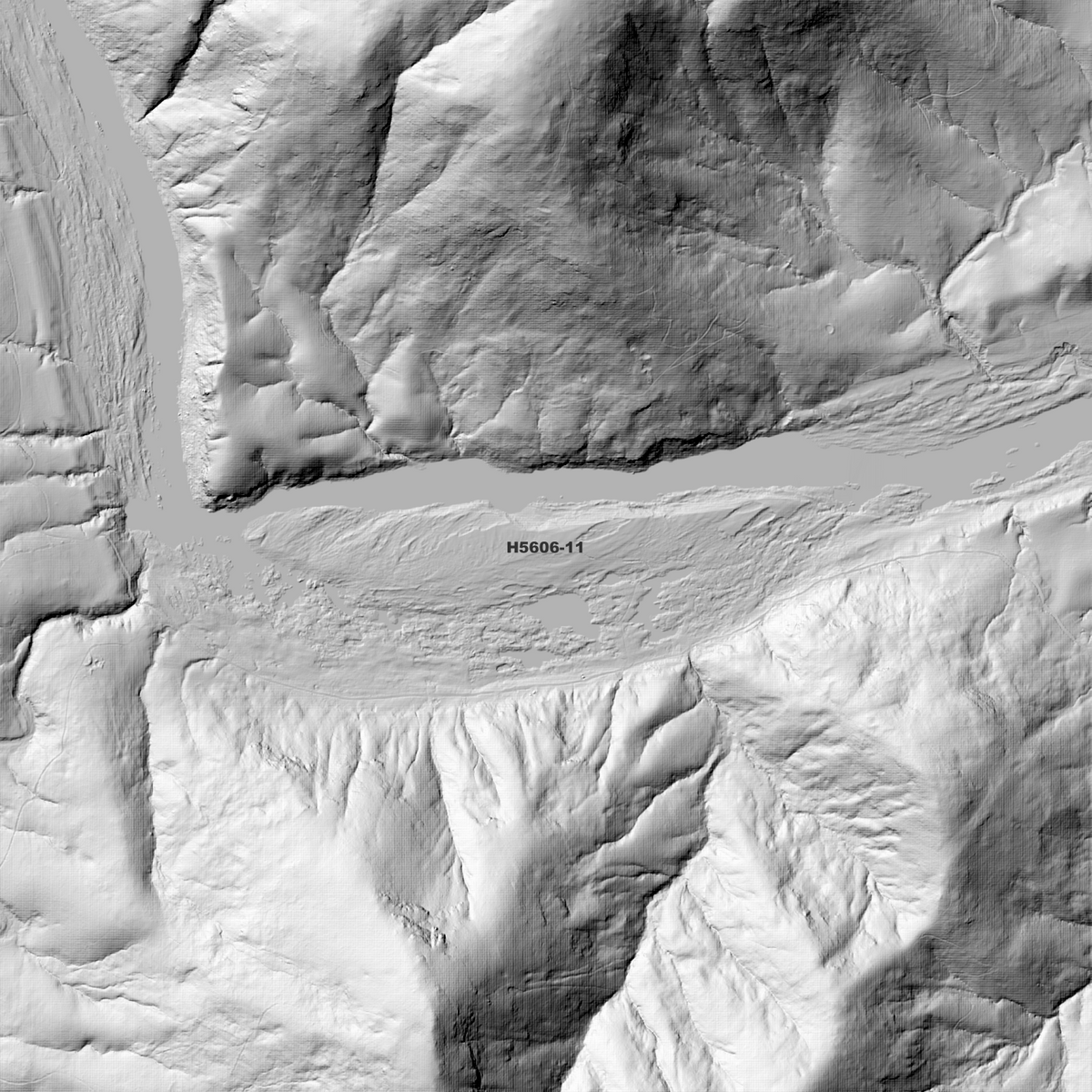 Pucka 1m Digital Elevation Models (H5606-11)