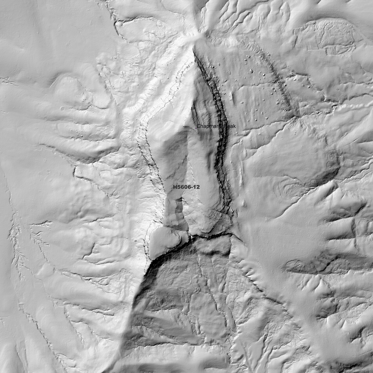 Coaldale 1m Digital Elevation Models (H5606-12)