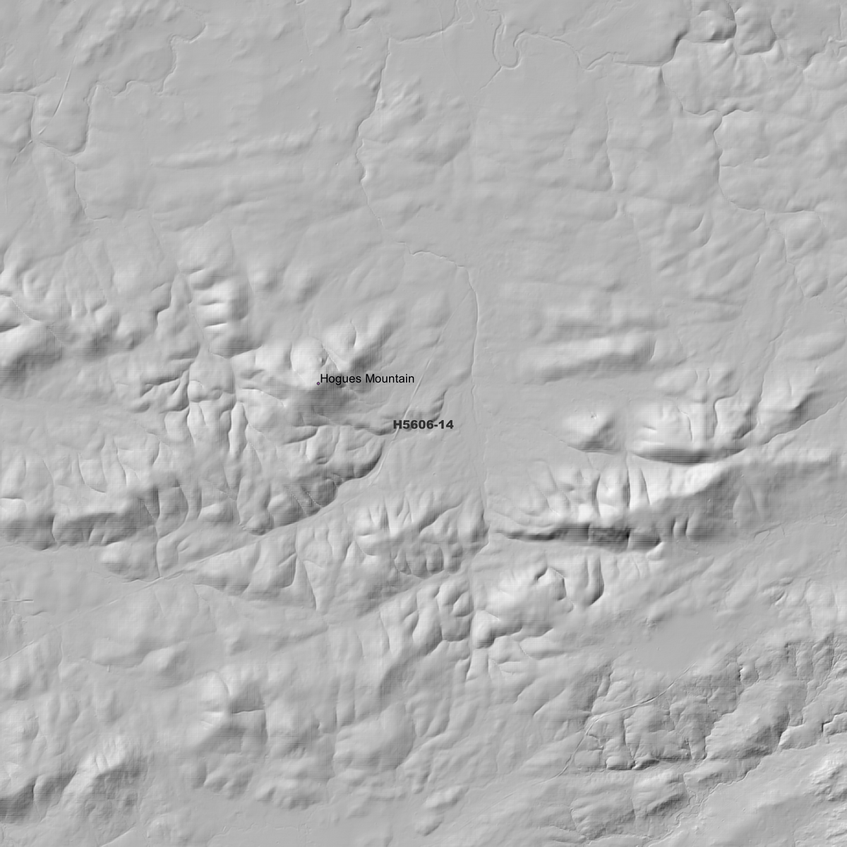 Dundee 1m, 2m & 5m Digital Elevation Models (H5606-14)
