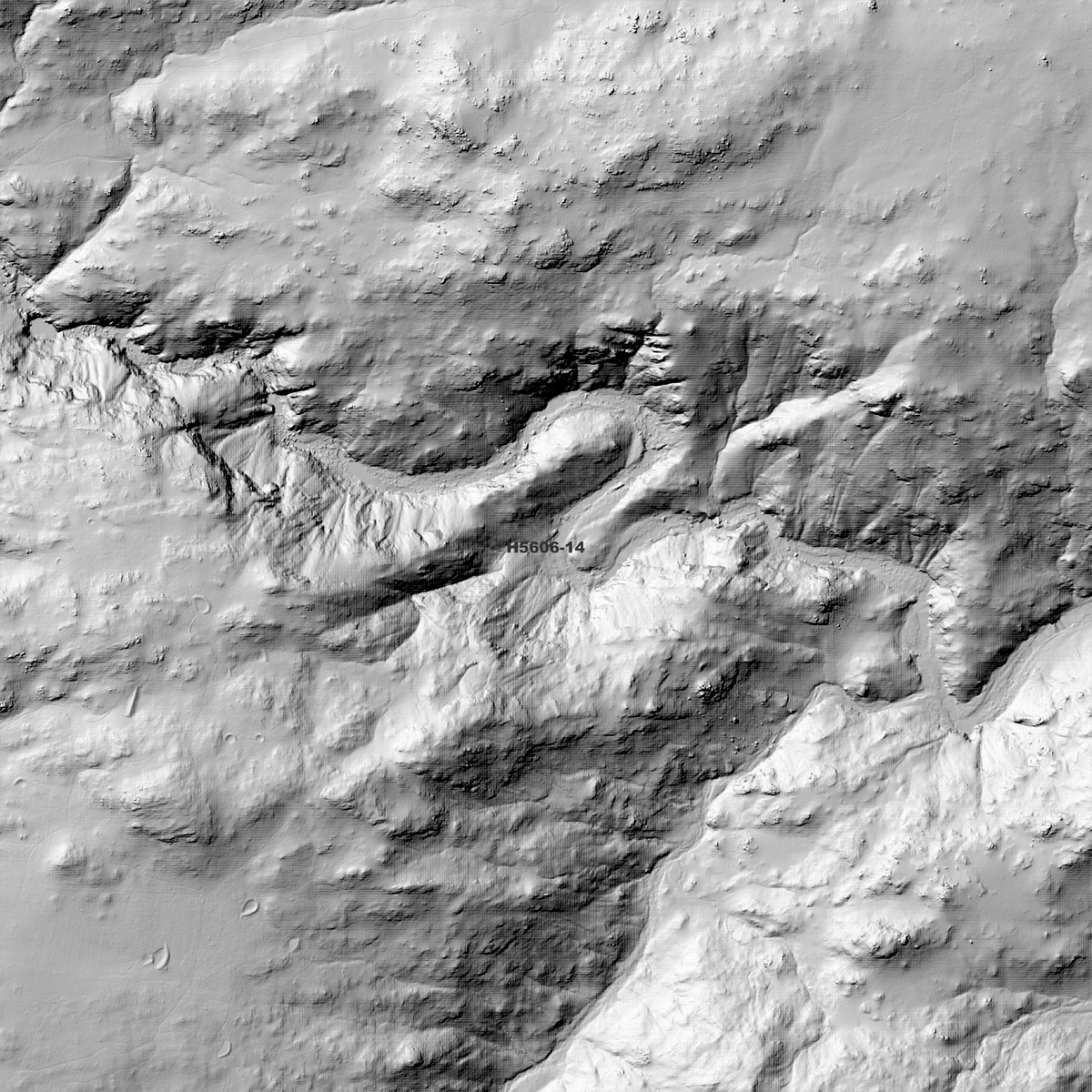 Dundee 1m, 2m & 5m Digital Elevation Models (H5606-14)