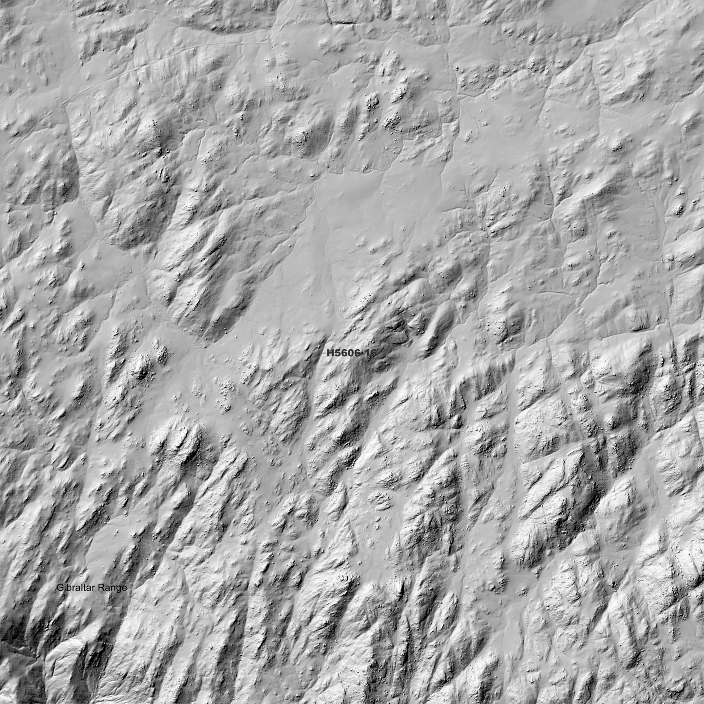 Puhoi 1m Digital Elevation Model (H5606-16)