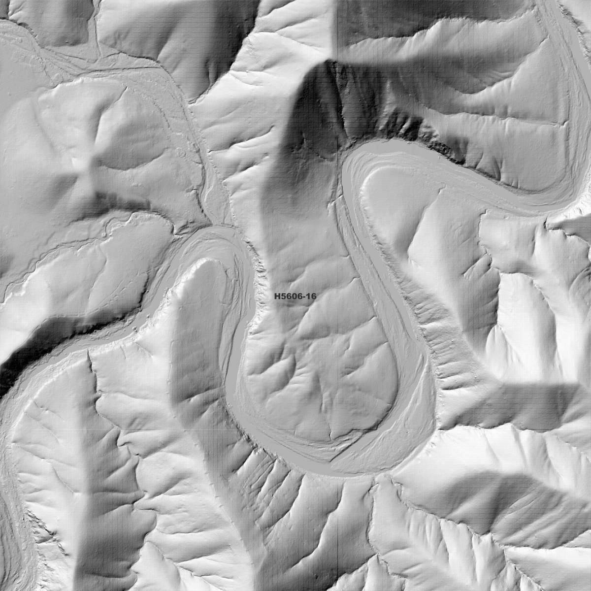 Puhoi 1m Digital Elevation Models (H5606-16)