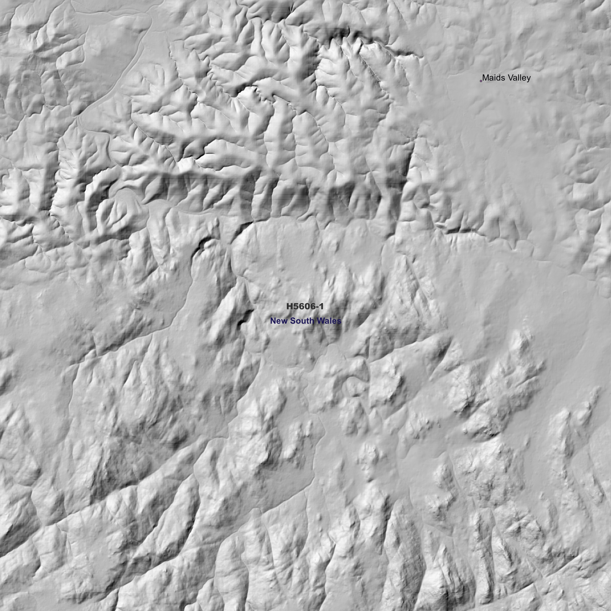 Binghi 50cm, 1m & 5m Digital Elevation Models (H5606-1)