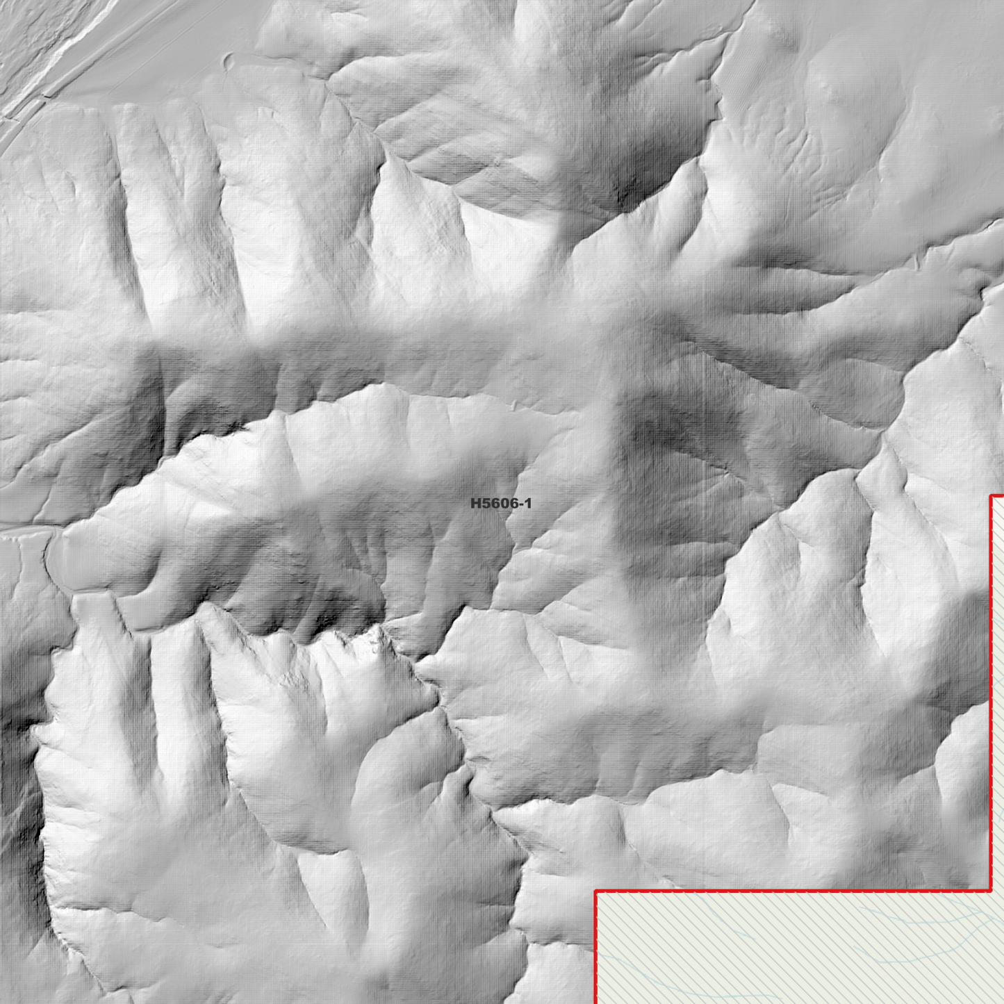 Binghi 1m Digital Elevation Model (H5606-1)