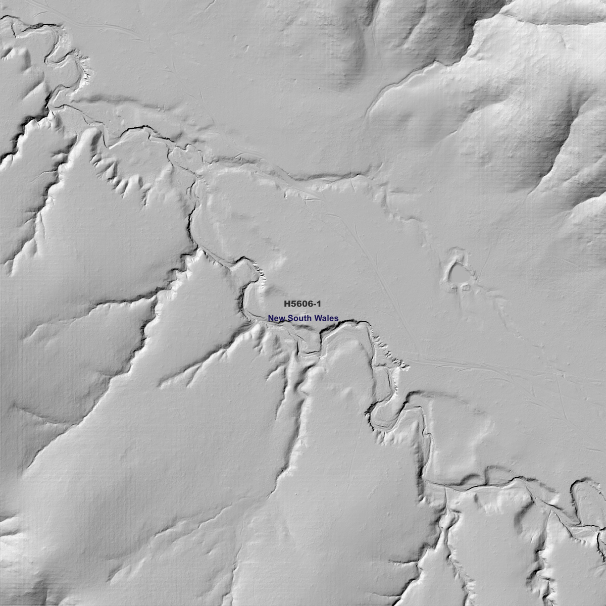 Binghi 50cm, 1m & 5m Digital Elevation Models (H5606-1)