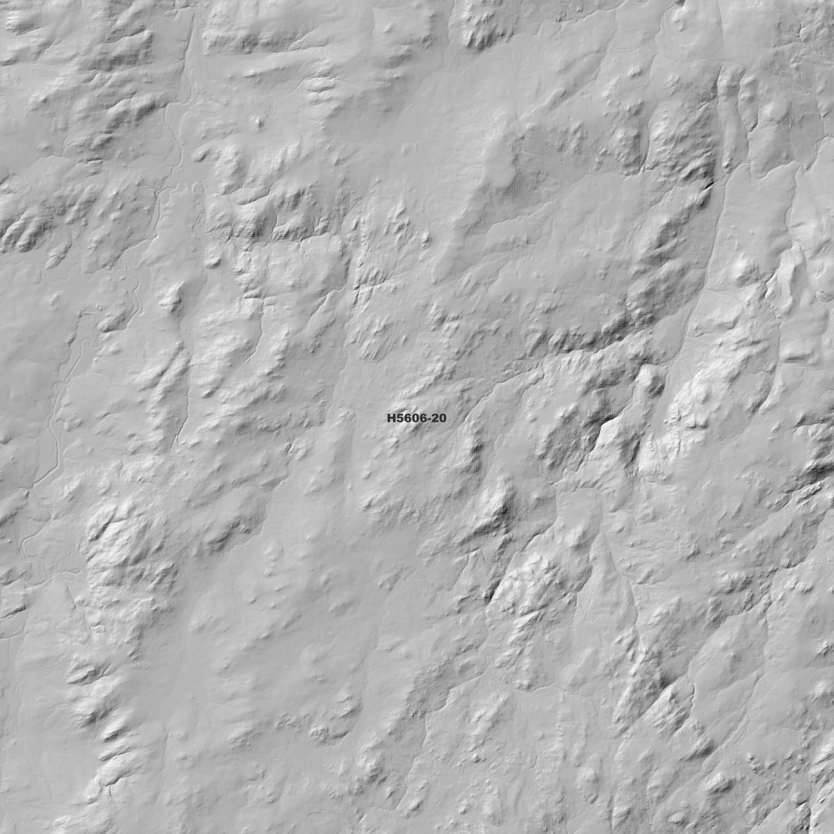 Pinkett 1m, 2m & 5m Digital Elevation Models (H5606-20)