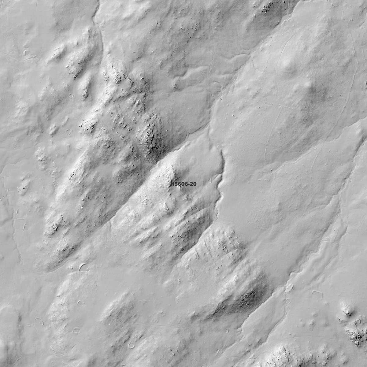 Pinkett 1m, 2m & 5m Digital Elevation Models (H5606-20)