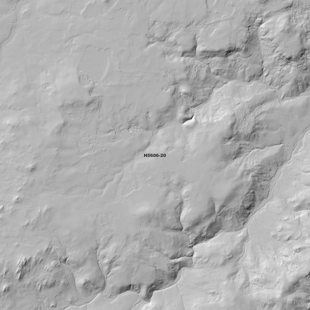 Pinkett 1m, 2m & 5m Digital Elevation Models (H5606-20)