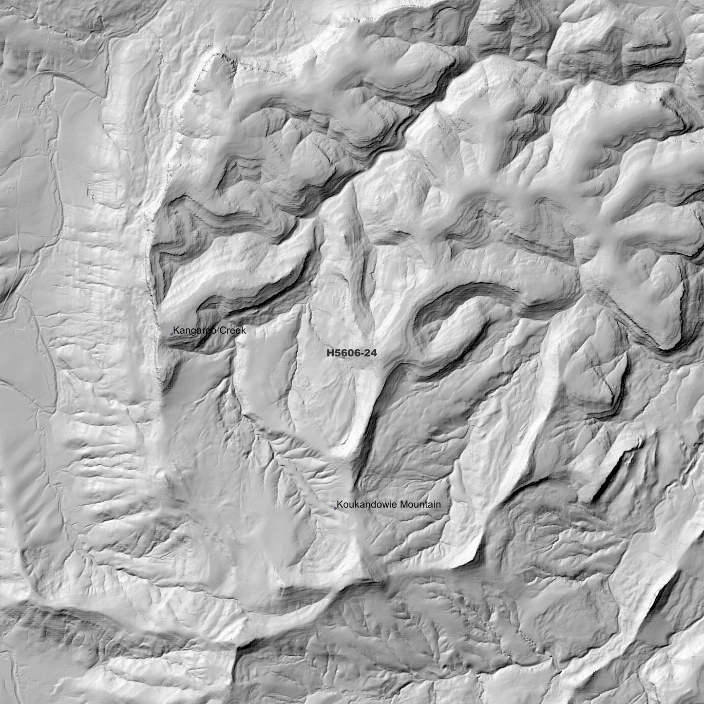 Koukandowie 1m Digital Elevation Model (H5606-24)