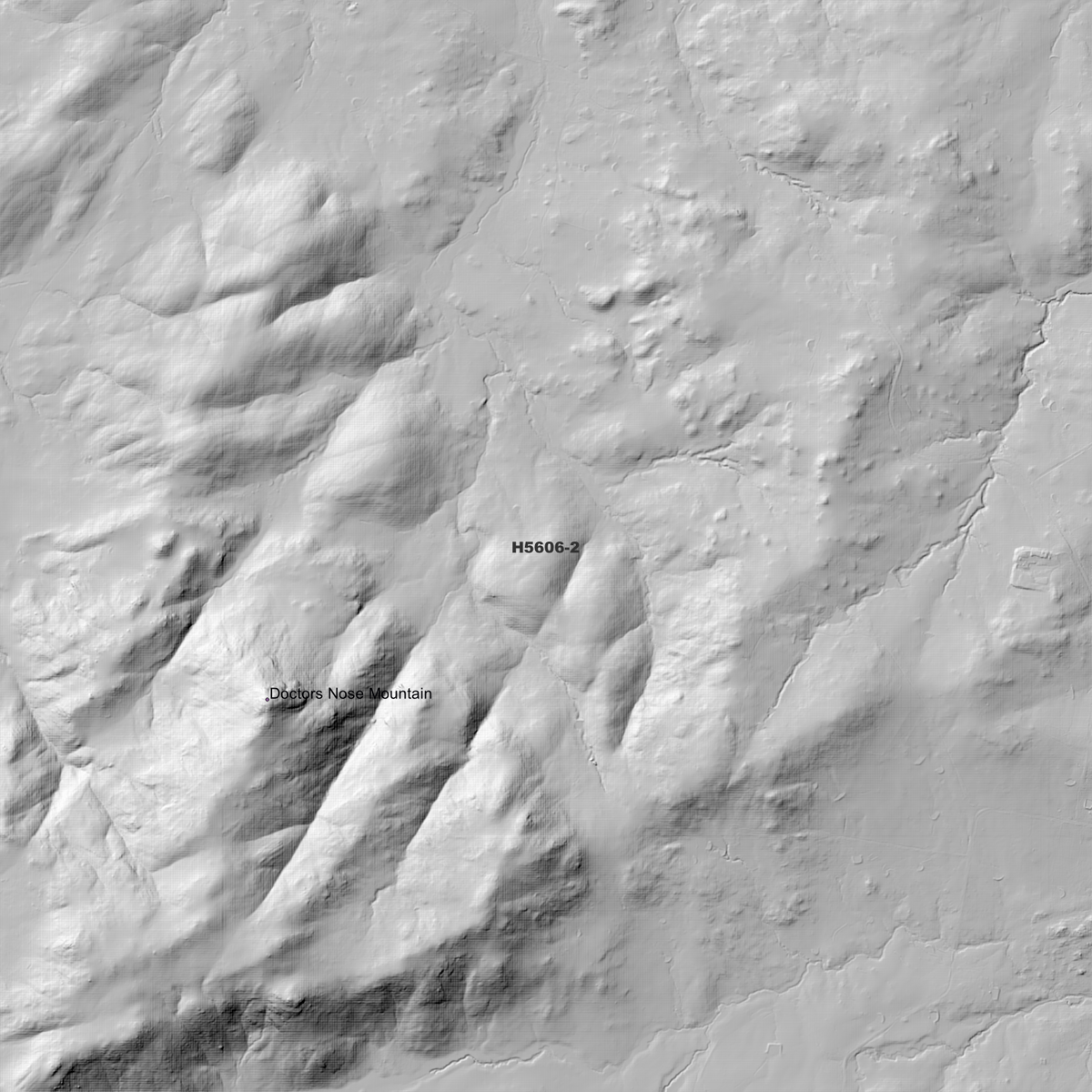 Woodside 1m, 2m & 5m Digital Elevation Models (H5606-2)