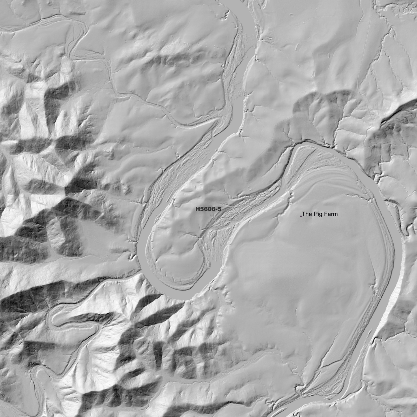 Pikapene 1m Digital Elevation Model (H5606-5)