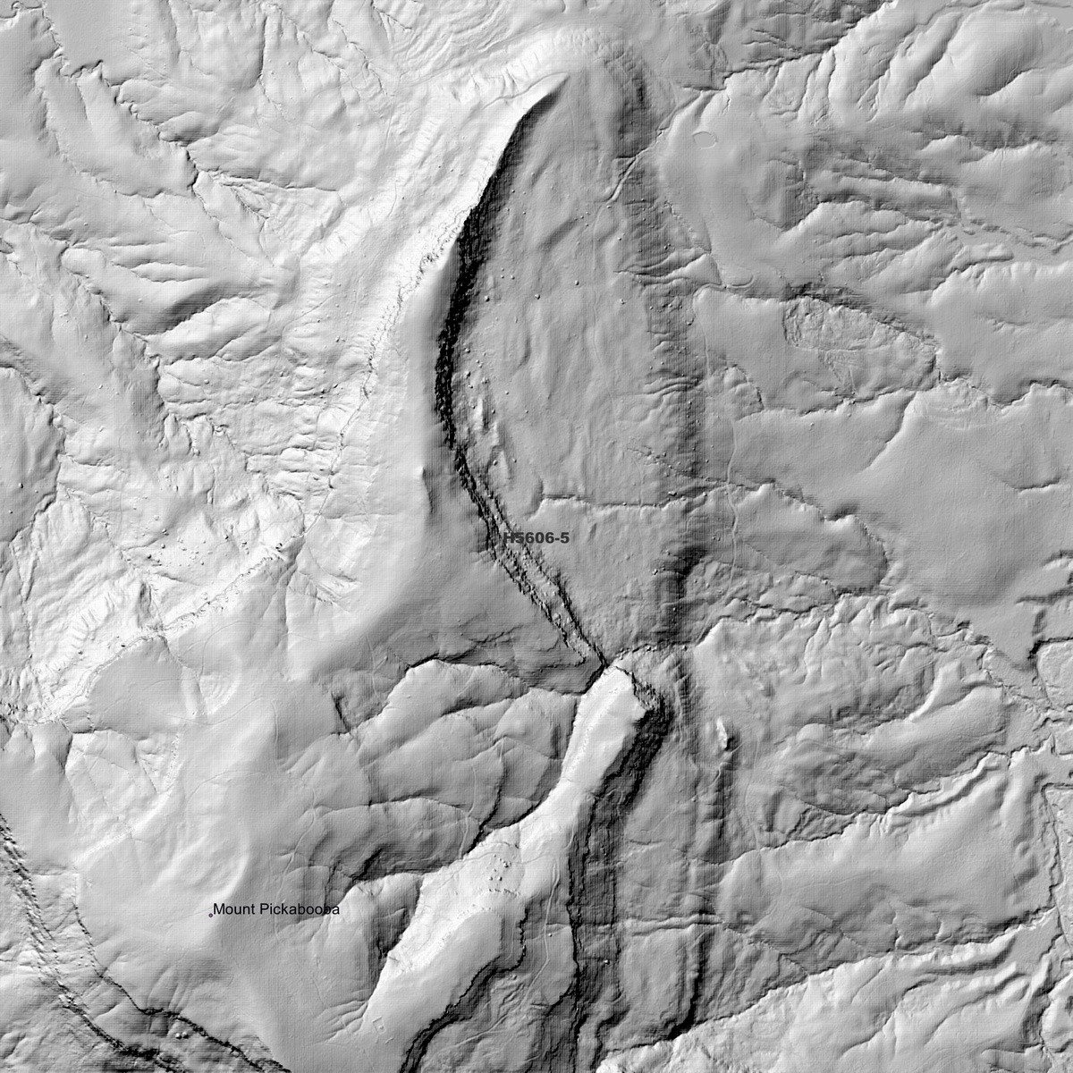 Pikapene 1m Digital Elevation Models (H5606-5)
