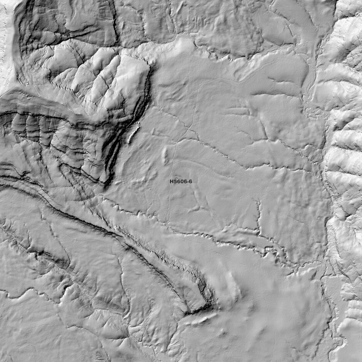 Camira 1m Digital Elevation Models (H5606-6)