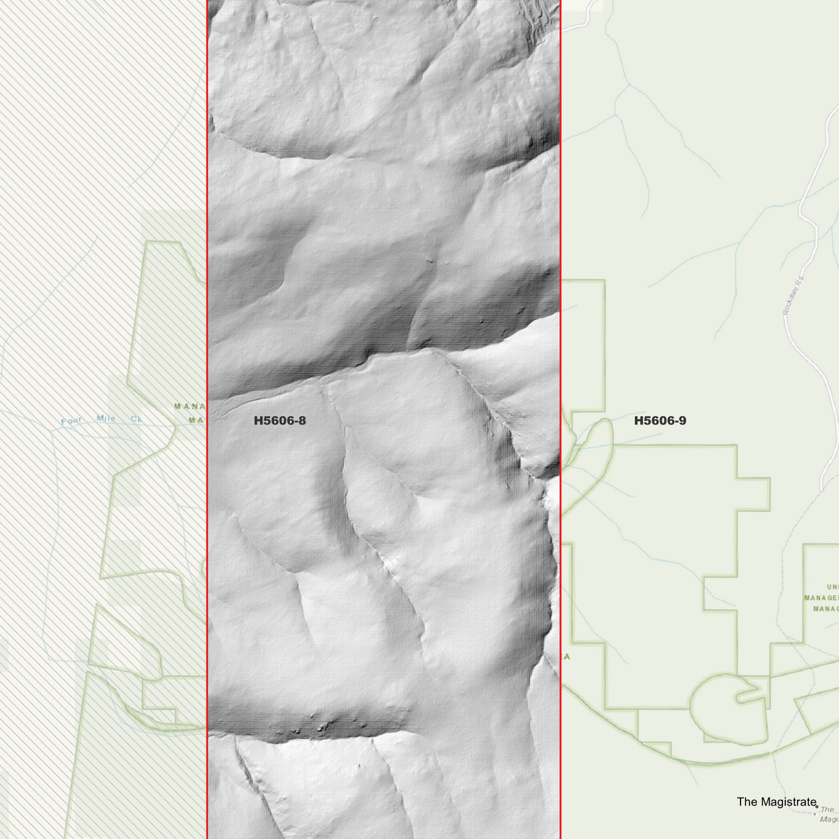 Deepwater 1m & 5m Digital Elevation Models (H5606-8)