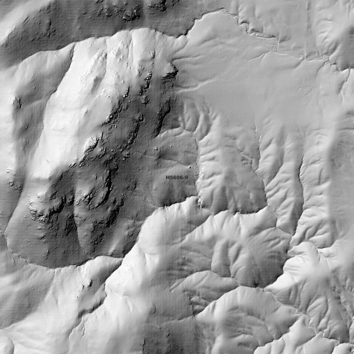 Spirabo 1m Digital Elevation Models (H5606-9)