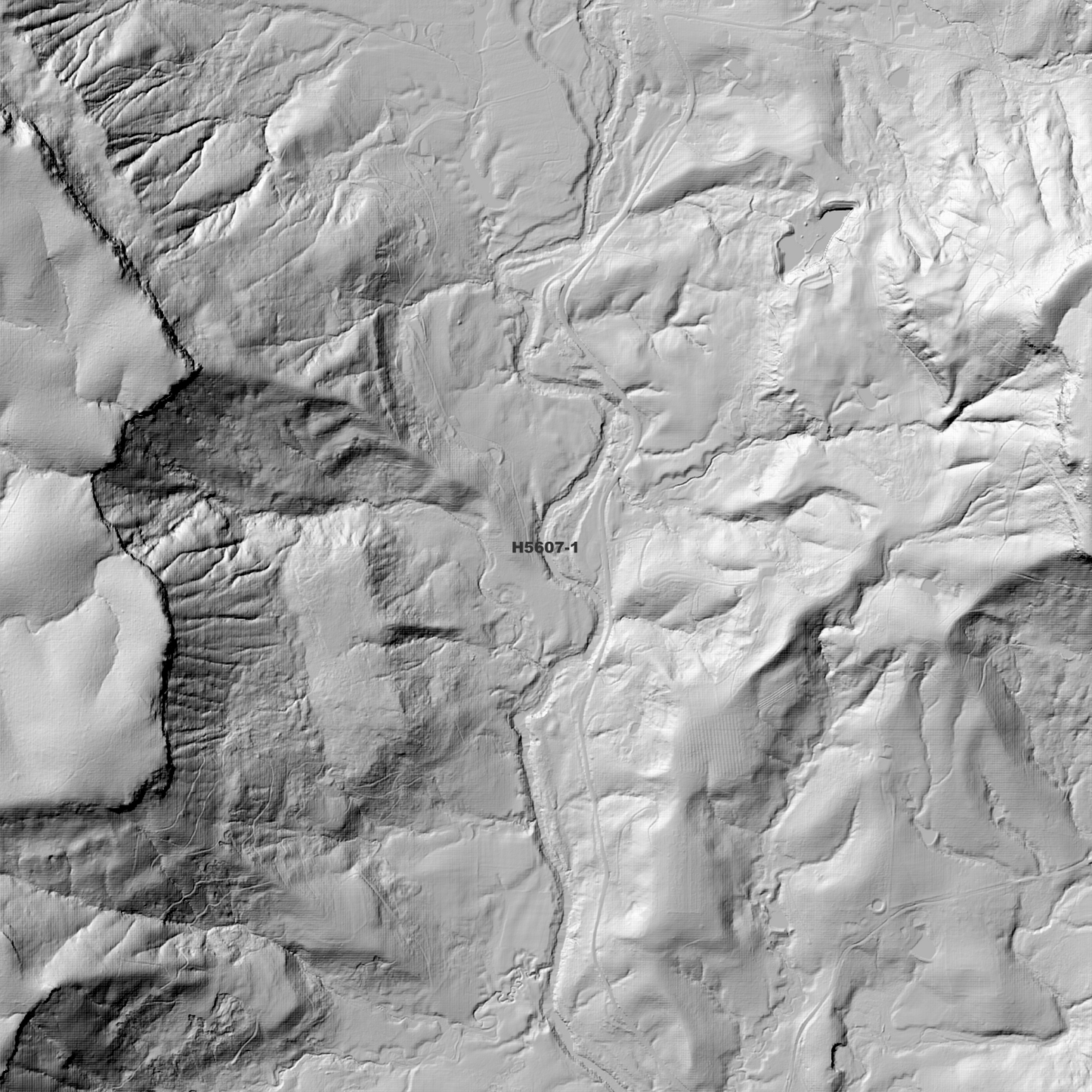 Jiggi 1m Digital Elevation Model (H5607-1)