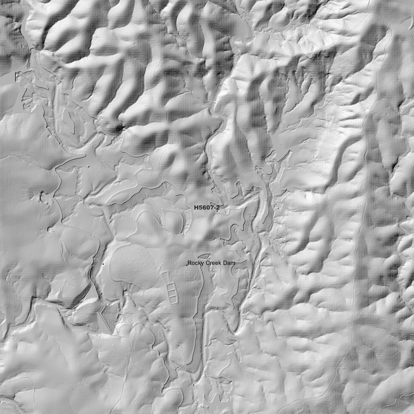 Whian 1m Digital Elevation Model (H5607-2)