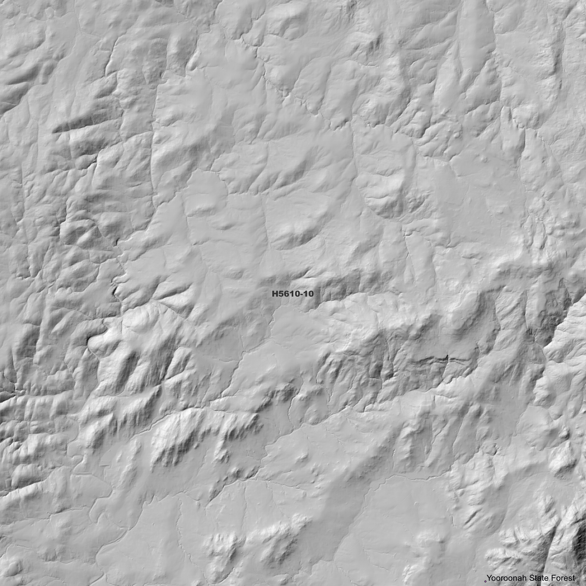Aberfoyle 1m, 2m & 5m Digital Elevation Models (H5610-10)