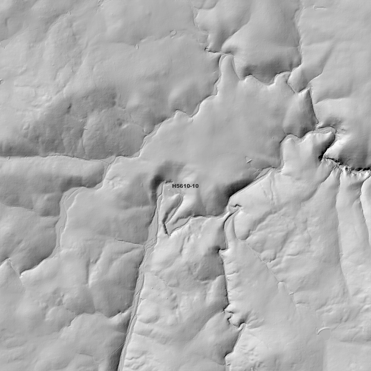 Aberfoyle 1m, 2m & 5m Digital Elevation Models (H5610-10)