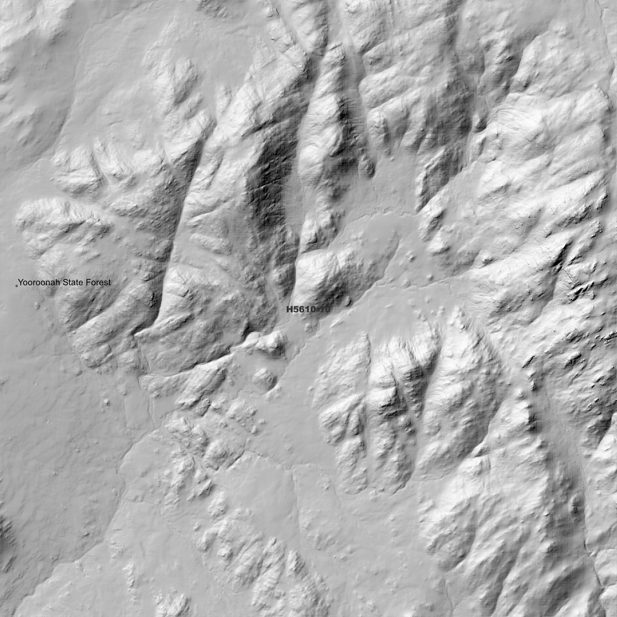 Aberfoyle 1m, 2m & 5m Digital Elevation Models (H5610-10)