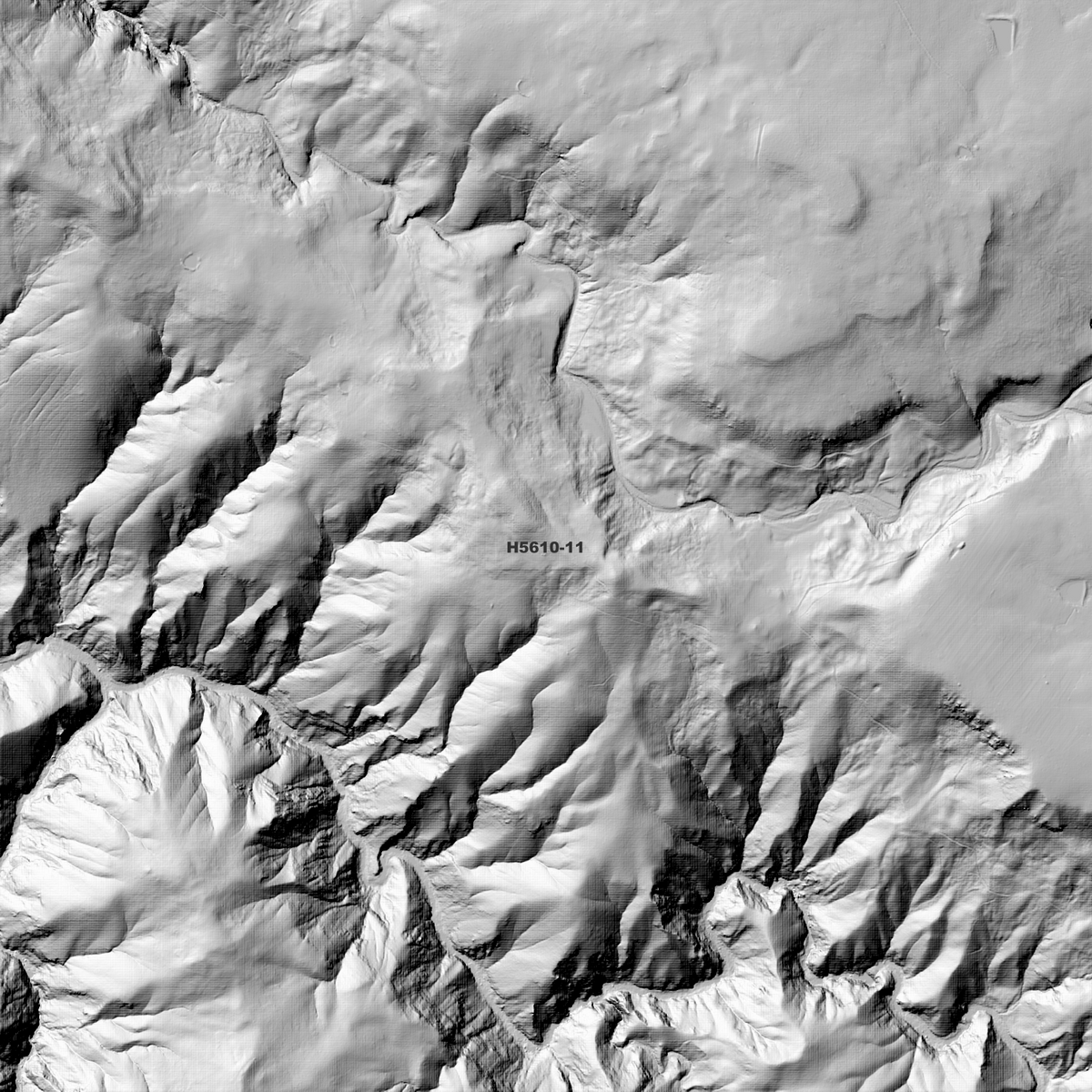 Ebor 1m & 2m Digital Elevation Models (H5610-11)