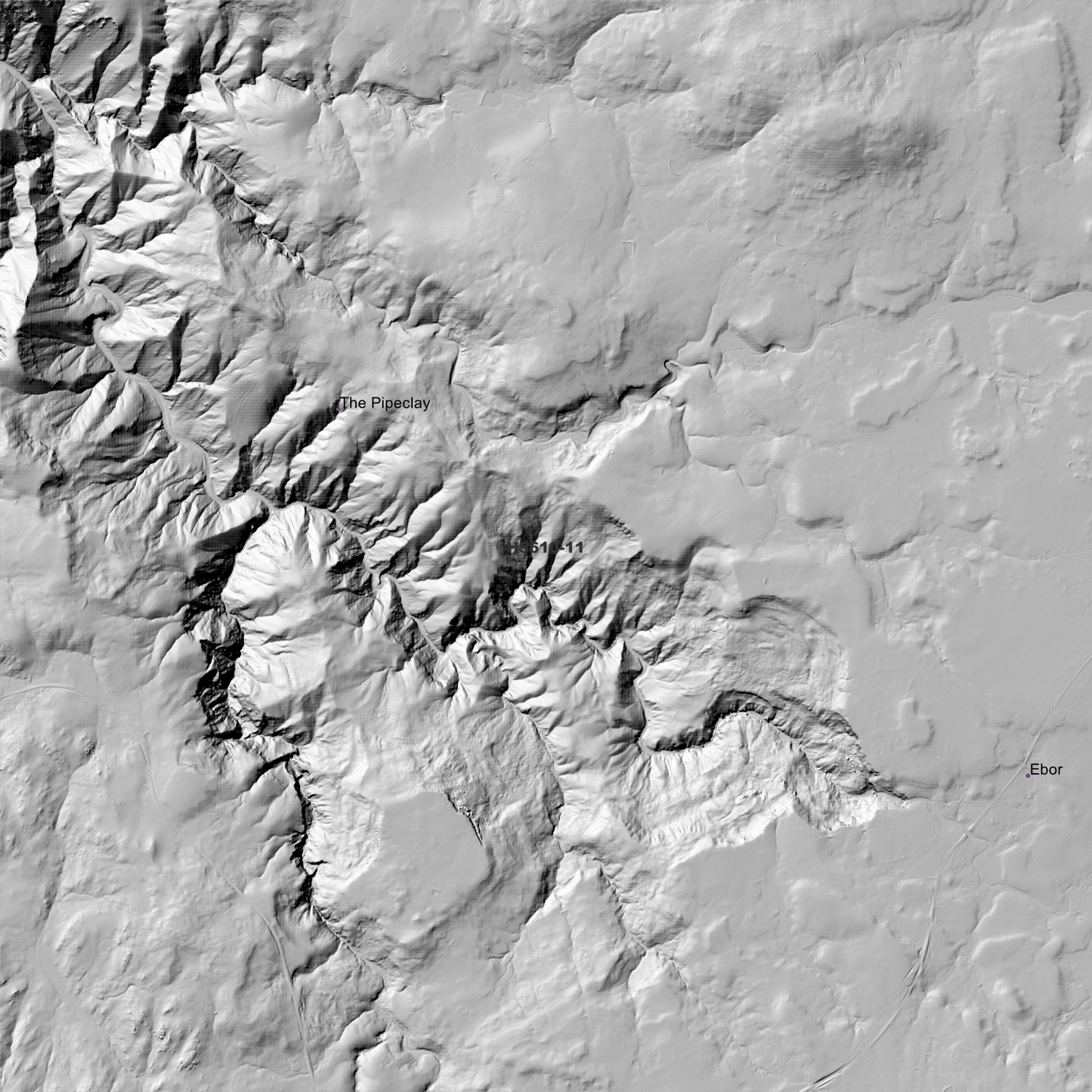 Ebor 1m Digital Elevation Model (H5610-11)