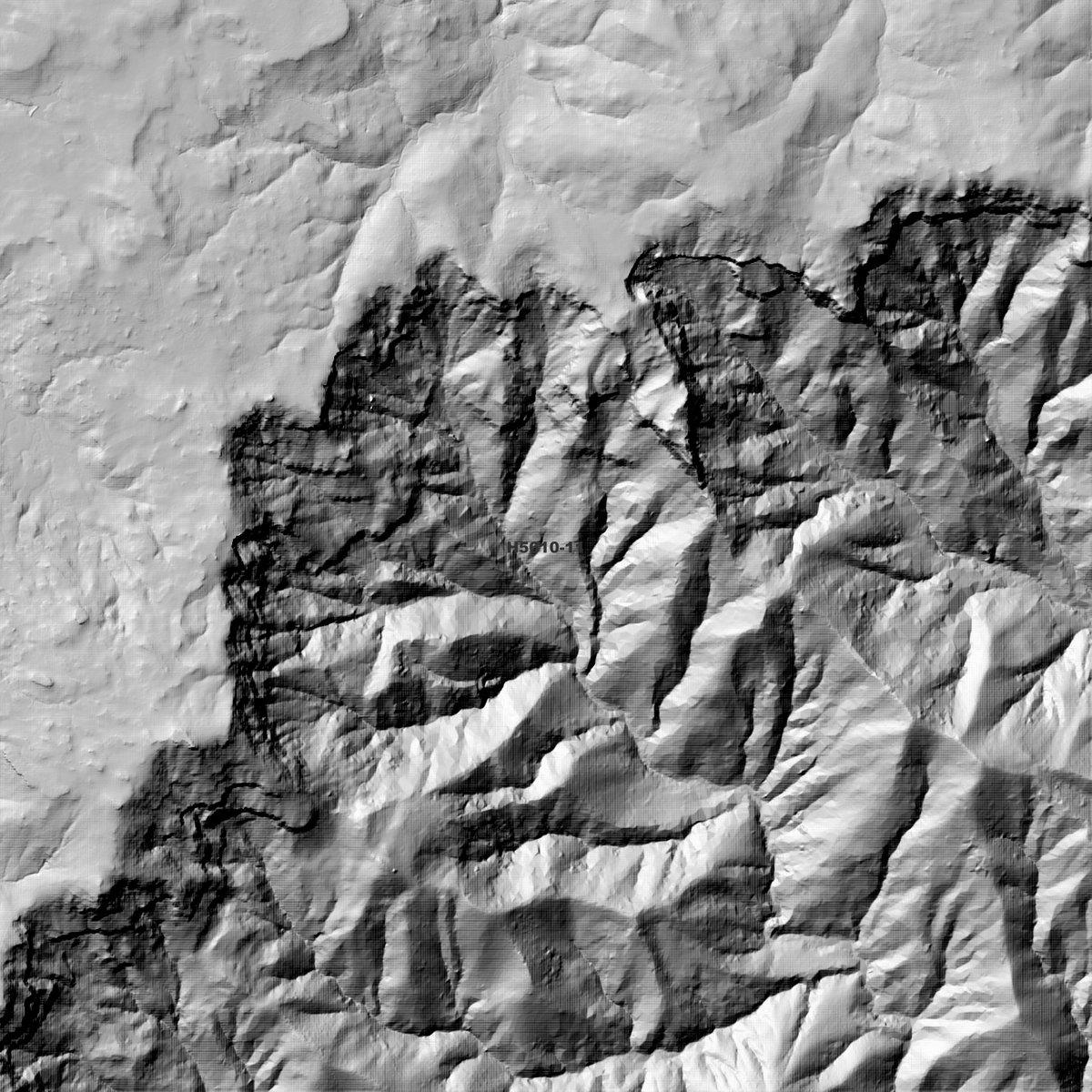 Ebor 1m & 2m Digital Elevation Models (H5610-11)