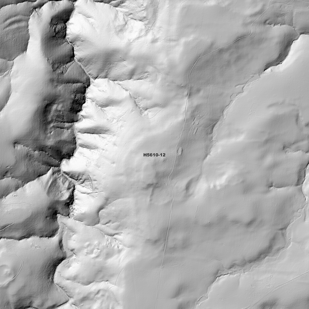 Dorrigo 1m & 2m Digital Elevation Models (H5610-12)