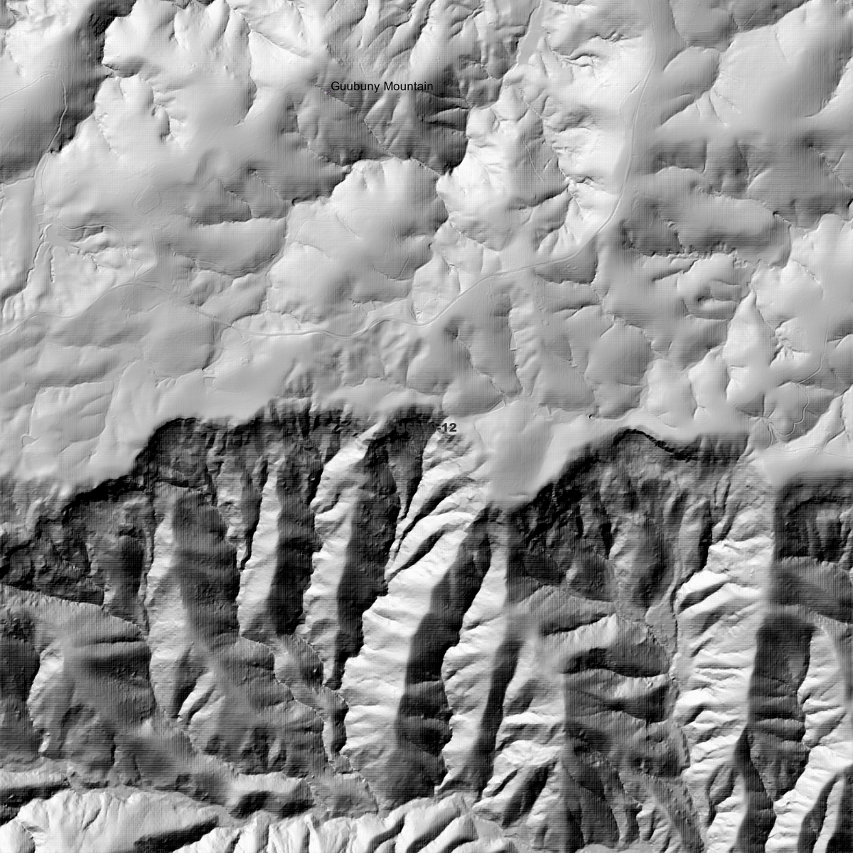 Dorrigo 1m & 2m Digital Elevation Models (H5610-12)