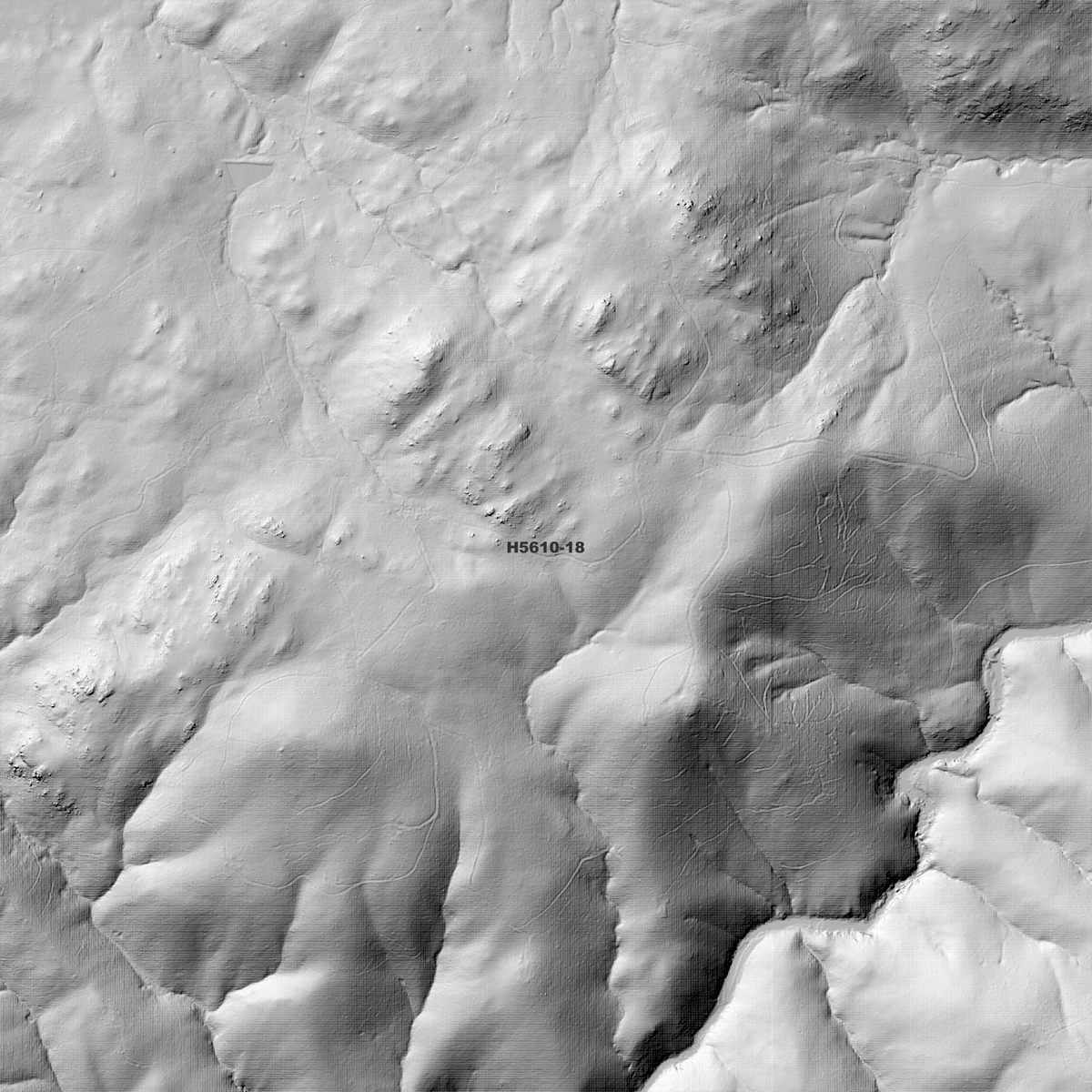Jobs 1m & 2m Digital Elevation Models (H5610-18)