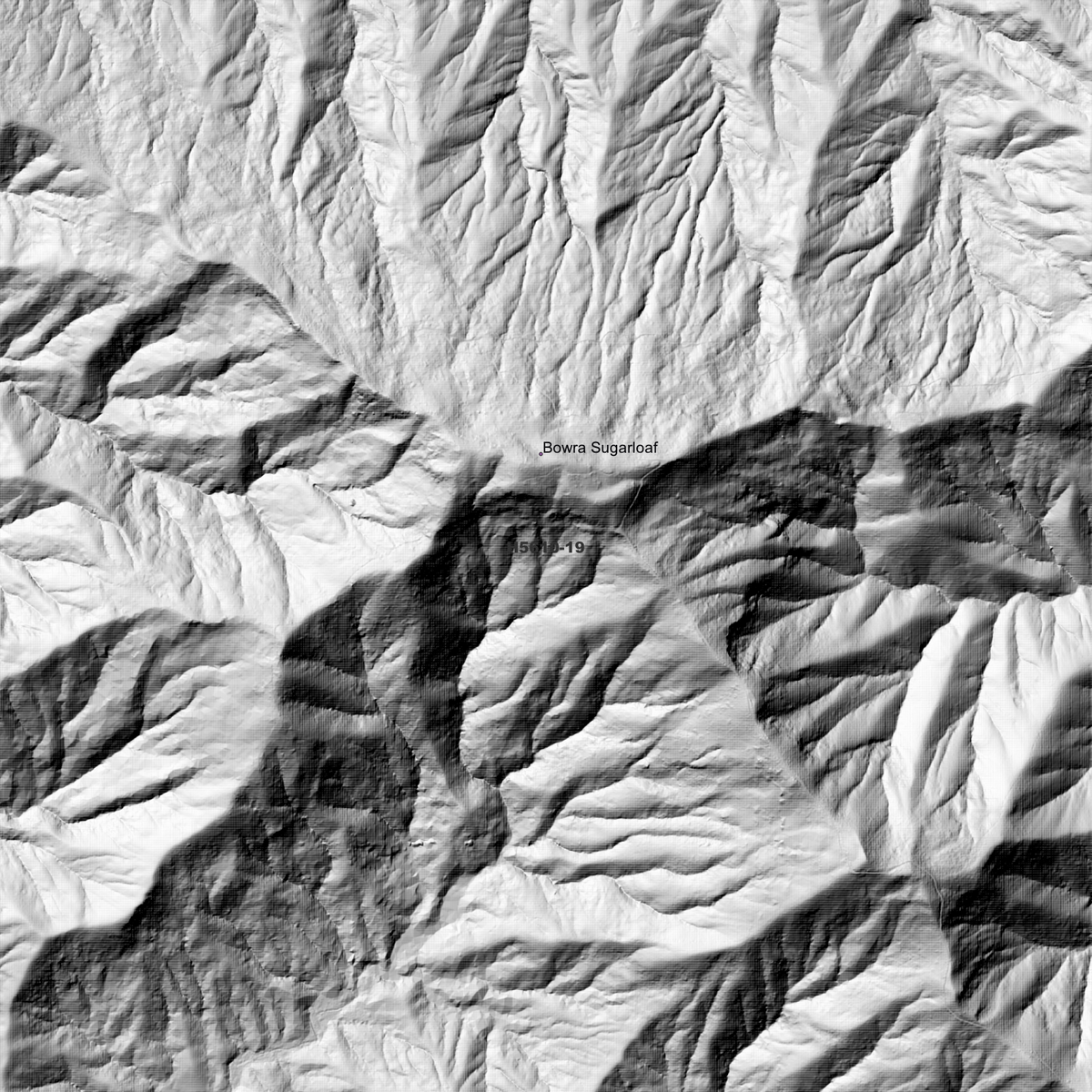 Bowra 2m Digital Elevation Models (H5610-19)