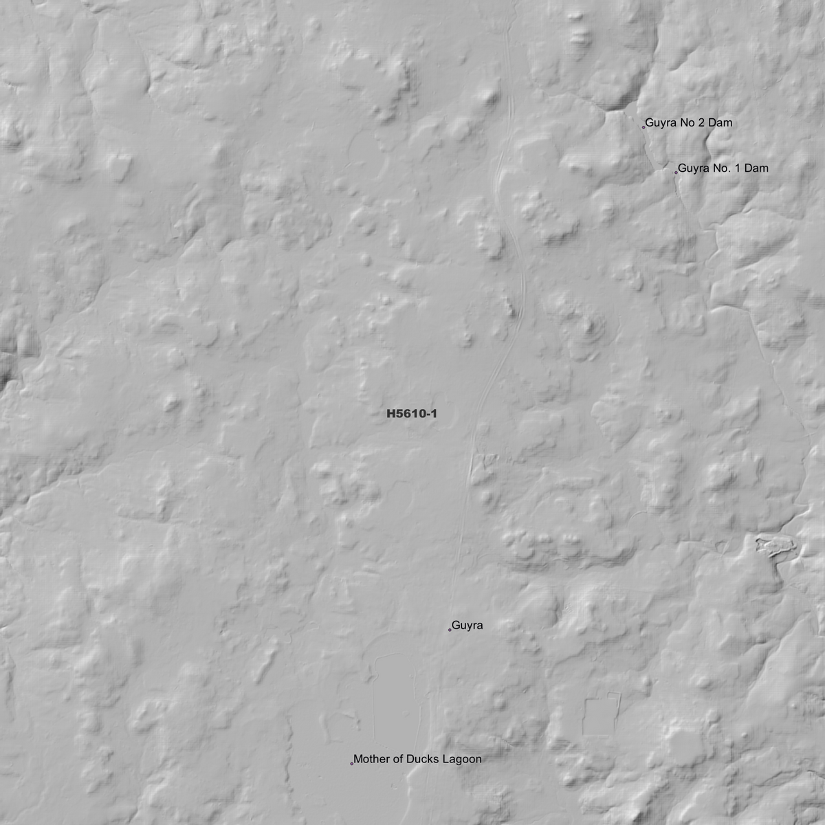 Guyra 1m & 5m Digital Elevation Models (H5610-1)