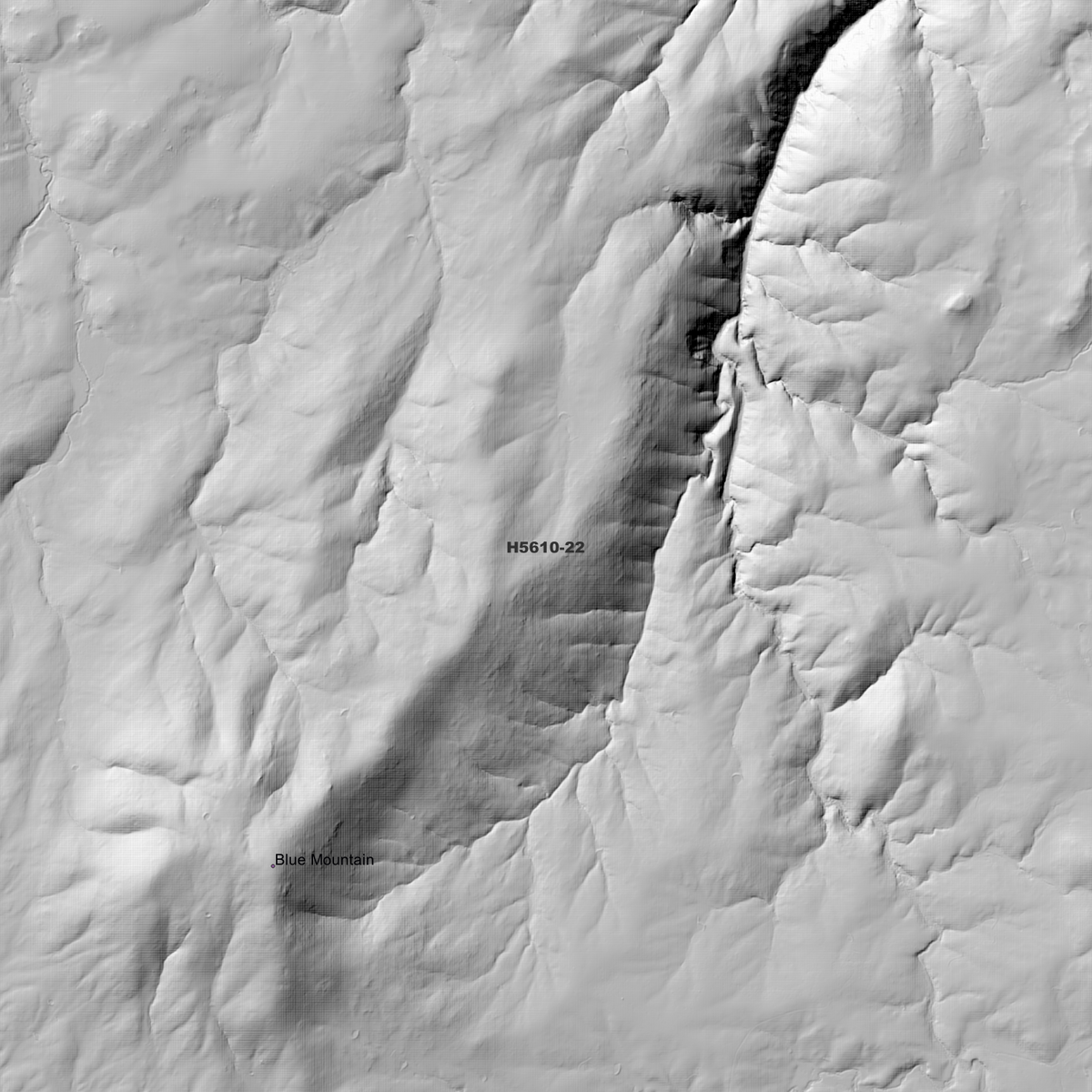 Walcha 1m & 2m Digital Elevation Models (H5610-22)
