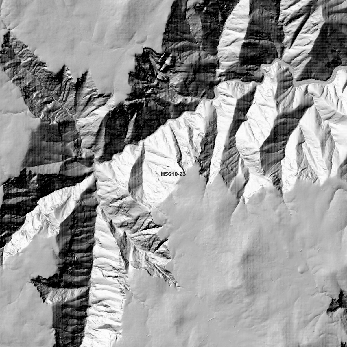 Cheadle 2m Digital Elevation Models (H5610-23)