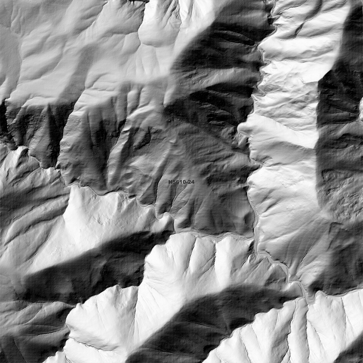 Mcleods 1m & 2m Digital Elevation Models (H5610-24)