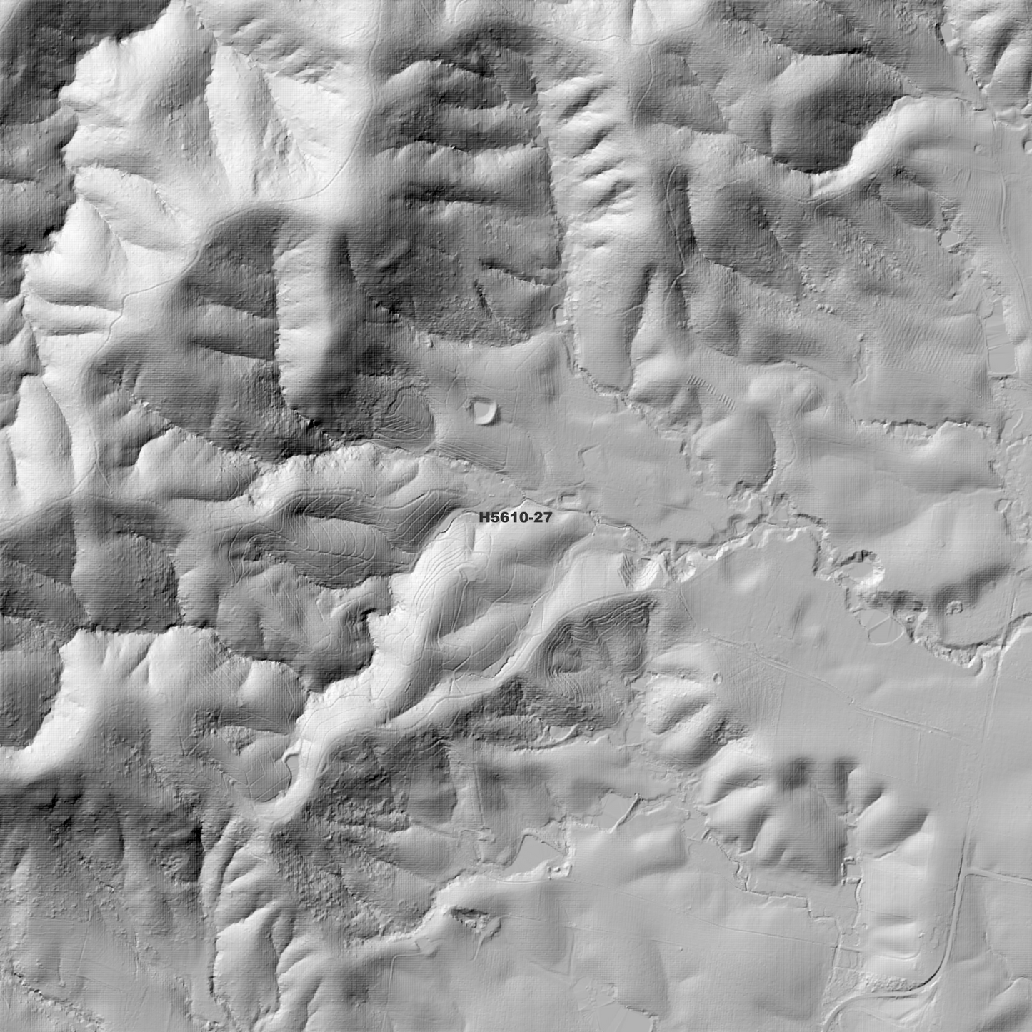 Warrell 1m Digital Elevation Model (H5610-27)